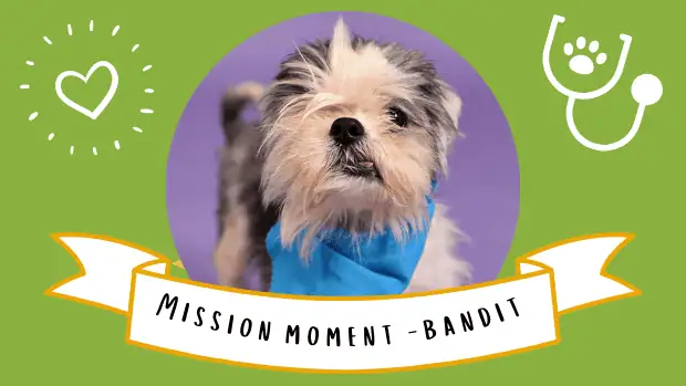 misión del bandido