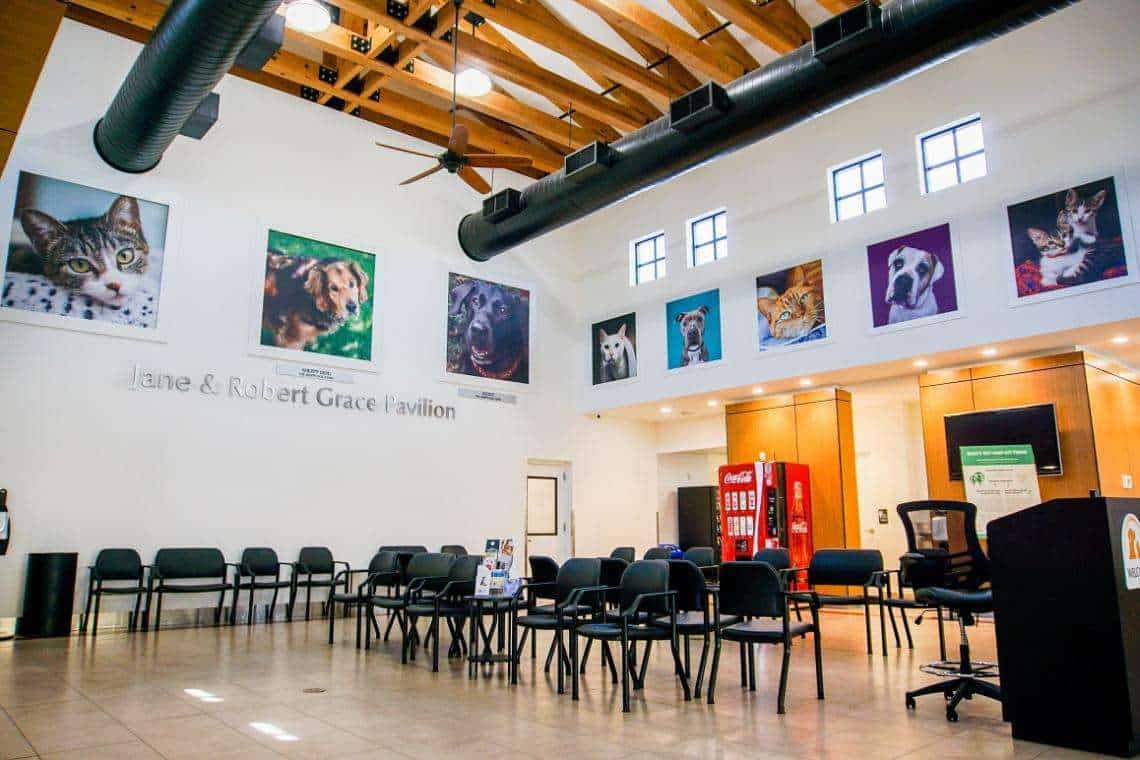 Pet Resource Center & Center for Veterinary Care at Peggy Adams Animal Rescue
