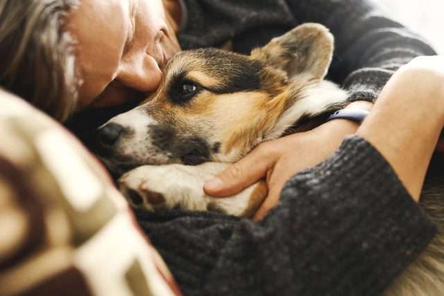 Retrato de joven abrazando a su mascota. Lindo cachorro de Corgi galés descansando con su dueño, pasando tiempo juntos en casa.