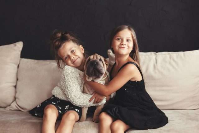 Retrato casero de dos niños lindos que abrazan con el perrito del perro chino de Shar Pei en el sofá contra la pared negra