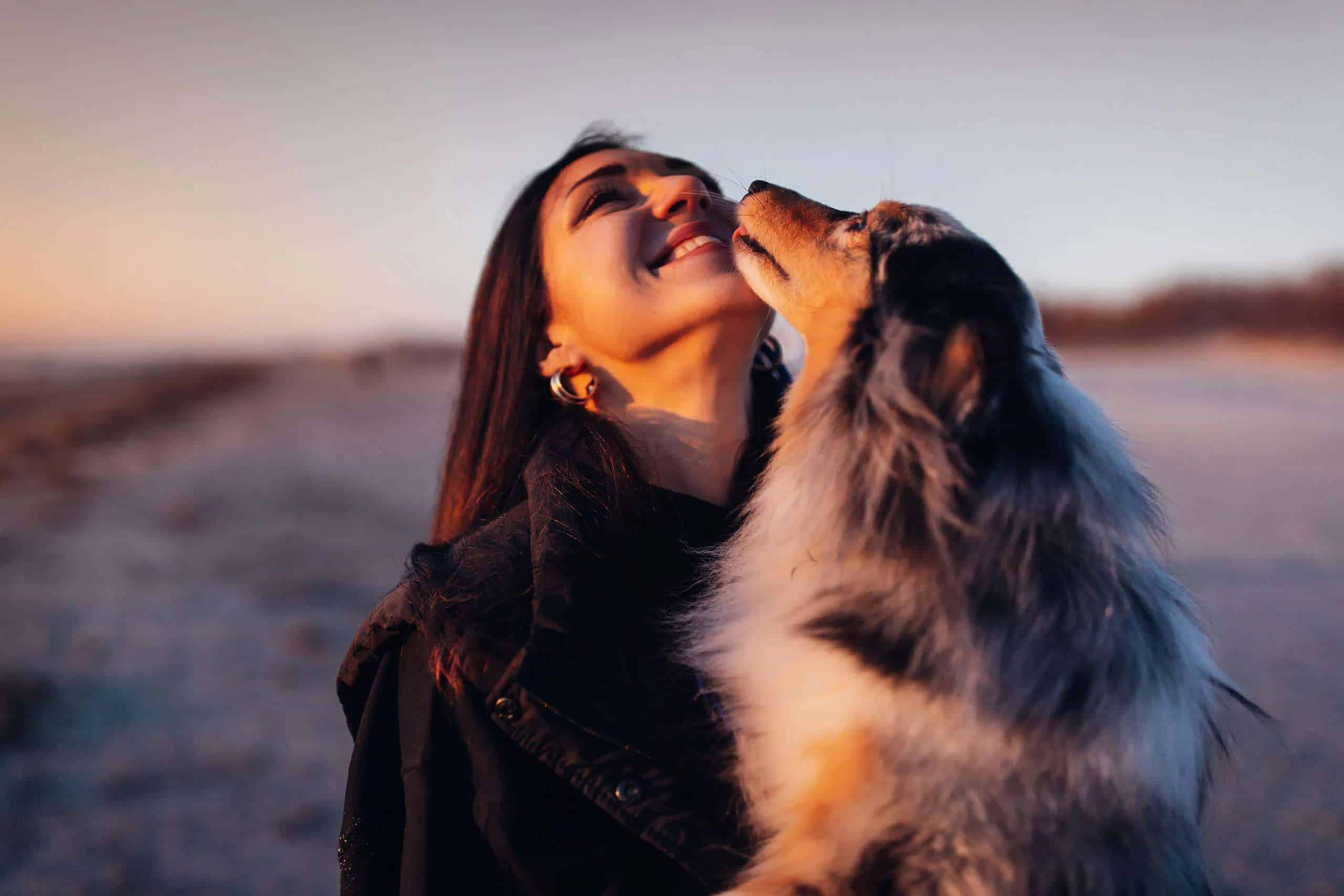 Una joven abraza a su perro sheltie