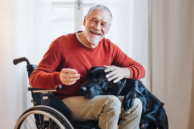 Older man smiling sitting in a wheelchair holding his dog