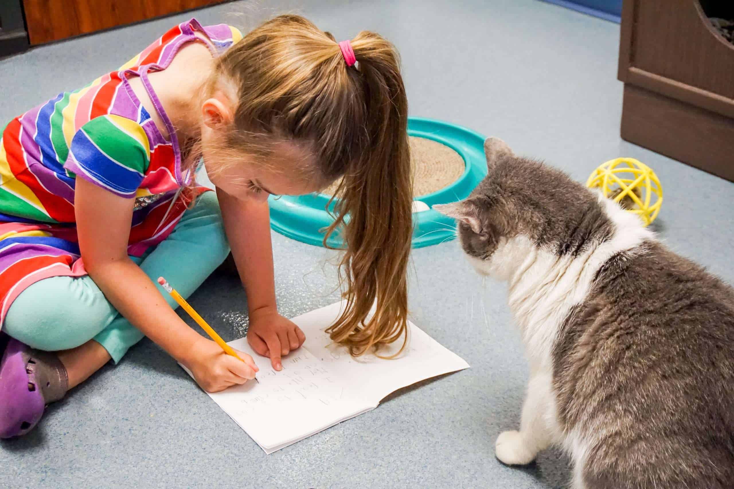 Niña dibujando con un gato durante una visita a Peggy Adams Animal Rescue.