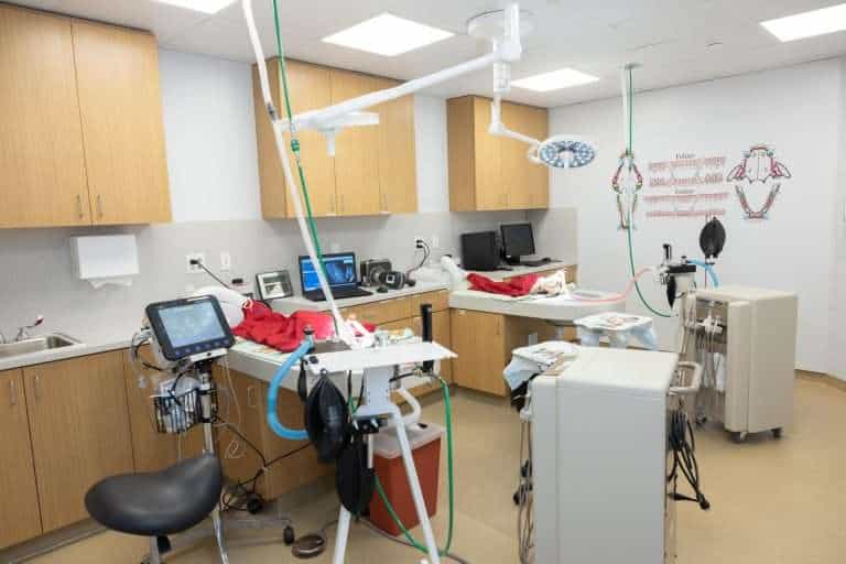 Emergency veterinary treatment room at Peggy Adams Animal Rescue.
