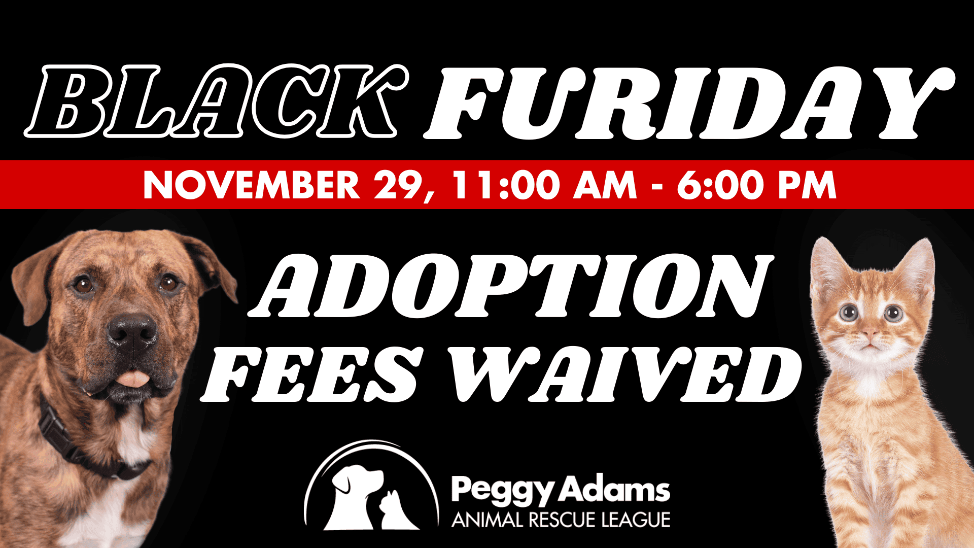 Black Friday pet adoption event with waived fees at Peggy Adams Animal Rescue League.