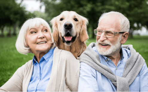 Senior couple with their dog in a park setting.