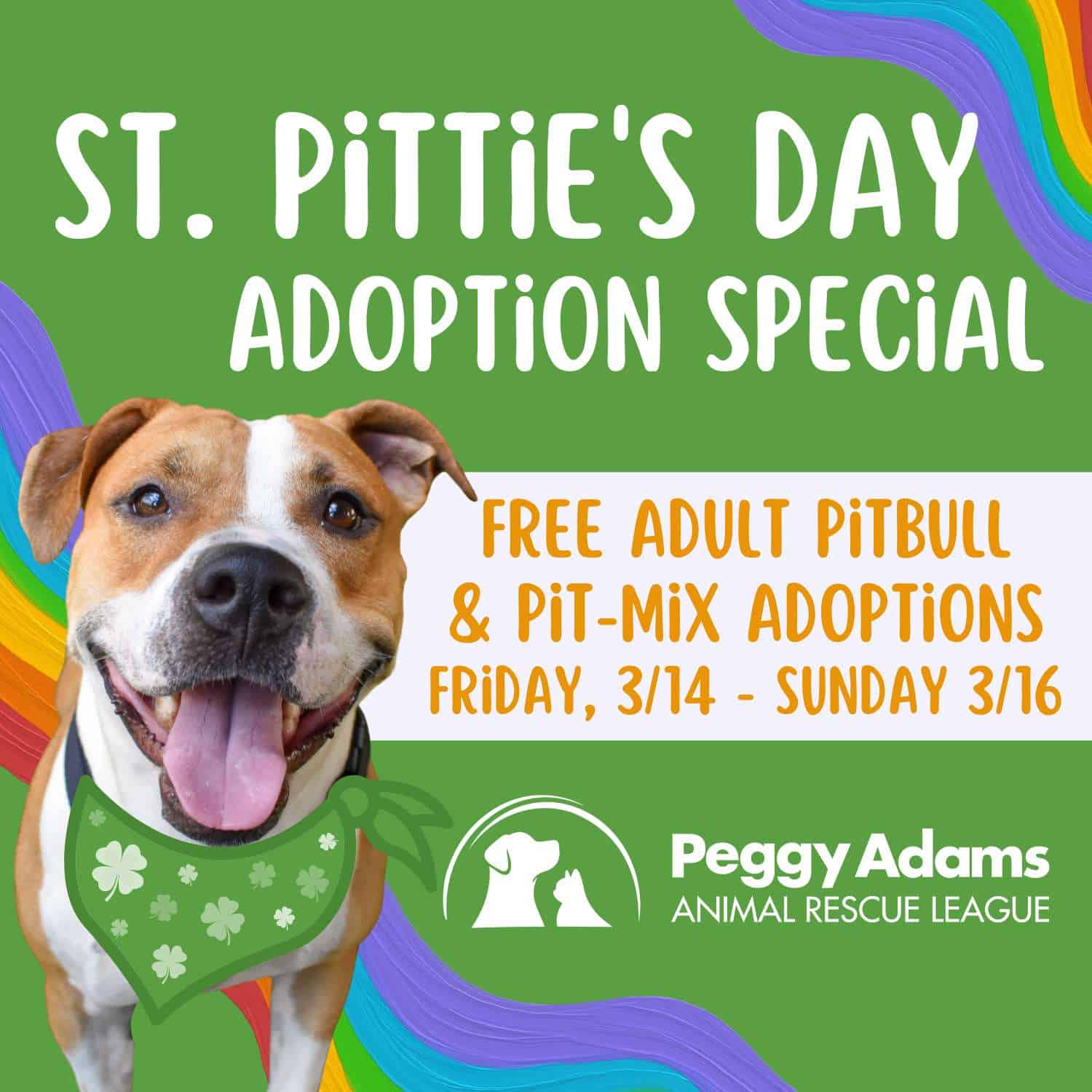 Adopte un perro durante el evento de San Pittie en Peggy Adams Animal Rescue League. Pitbulls y Pit- gratis.