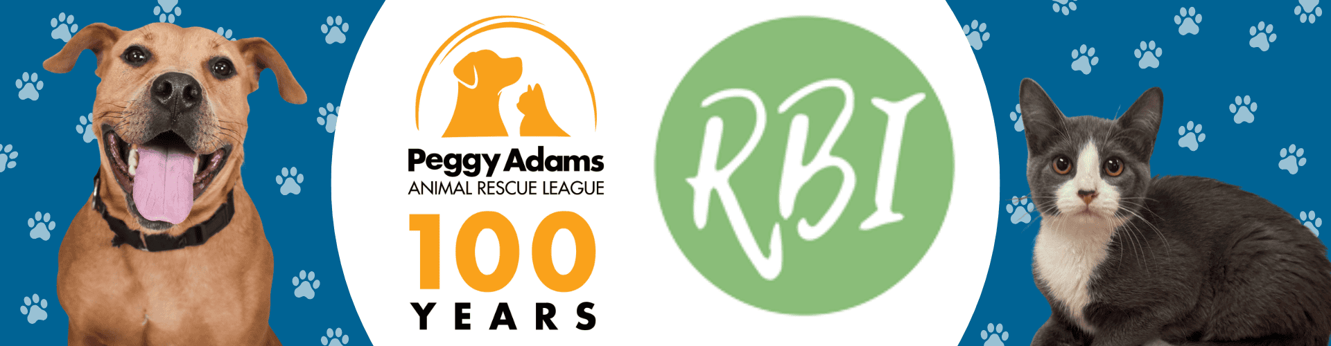 Perro y gato felices sentados al aire libre en Peggy Adams Animal Rescue League.