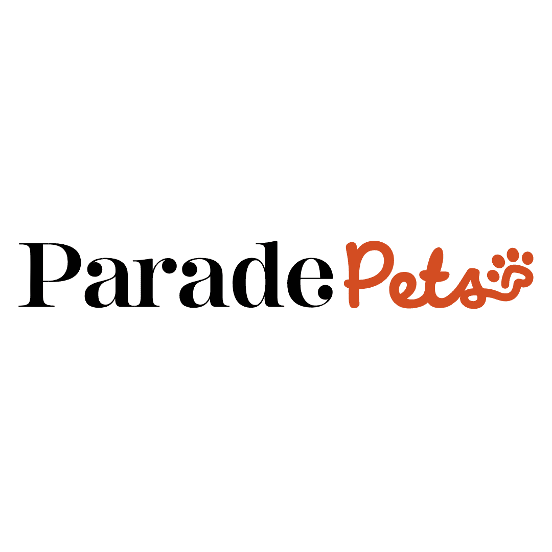 Peggy Adams Pet Adoption event logo with paw print design.