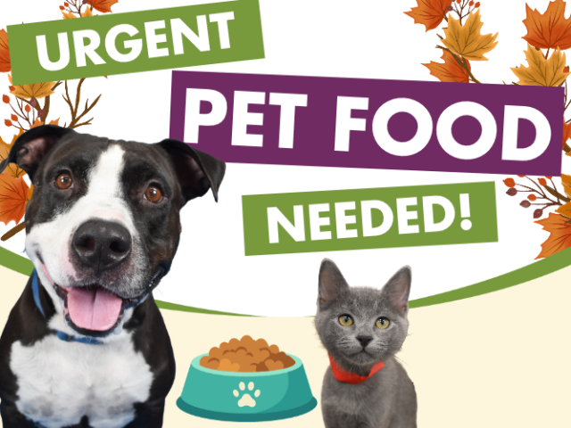 Dog and cat with pet food bowl, urgent pet food donation request.