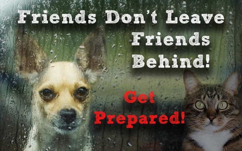 FriendsHurricane
