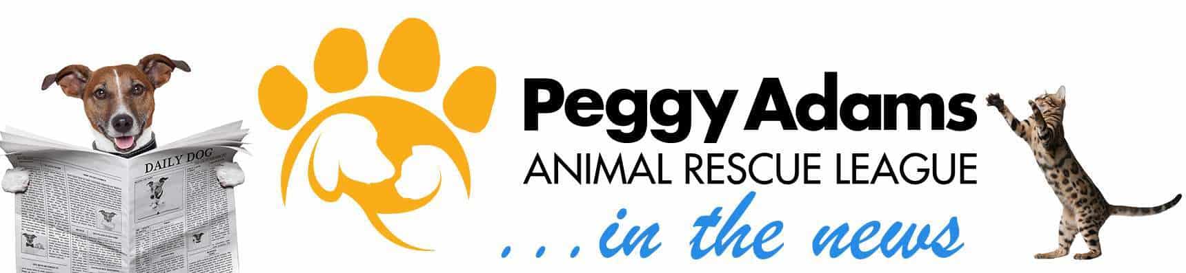 PeggyEnLasNoticias.jpg