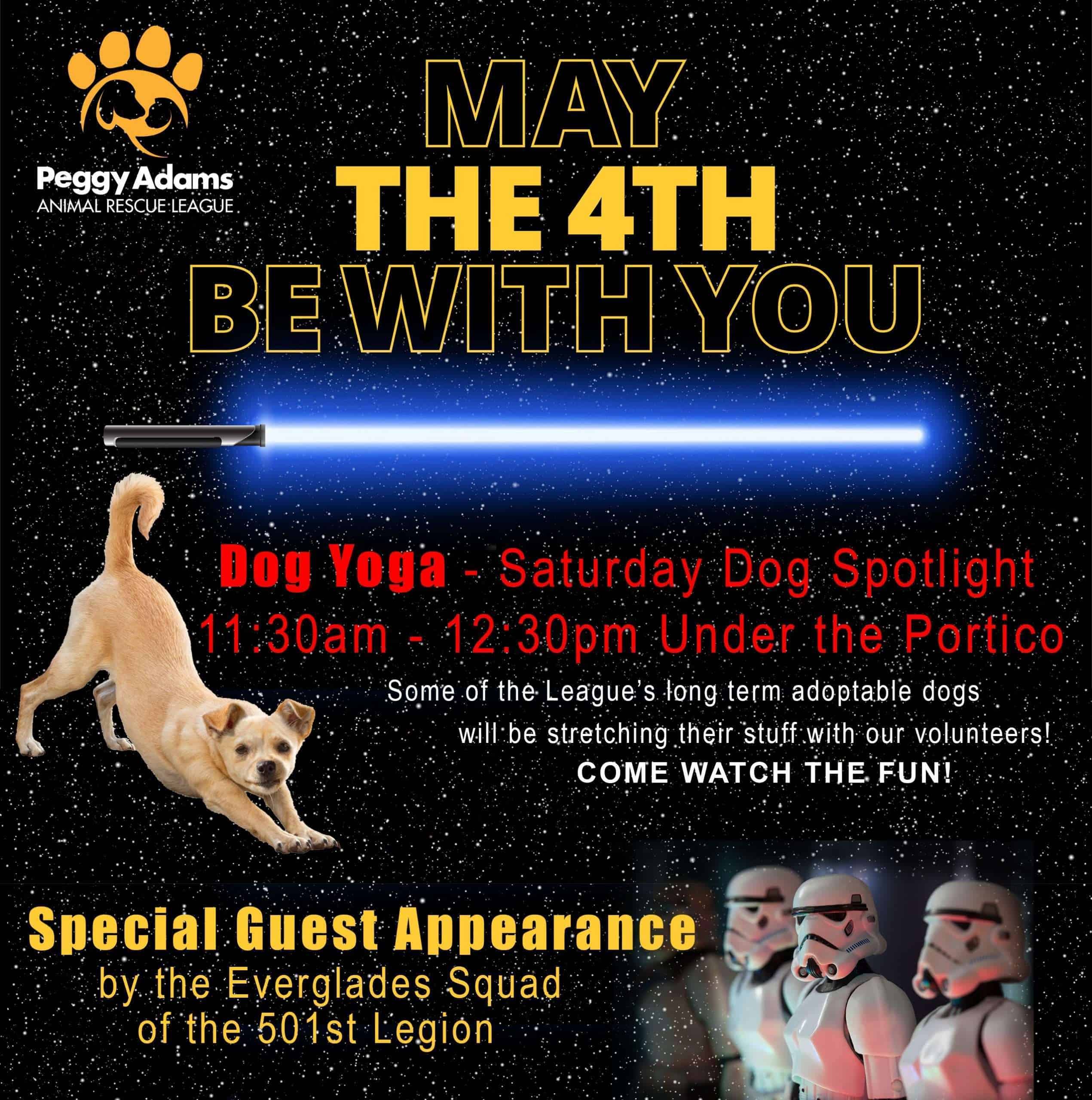 MayThe4Th-Web.jpg