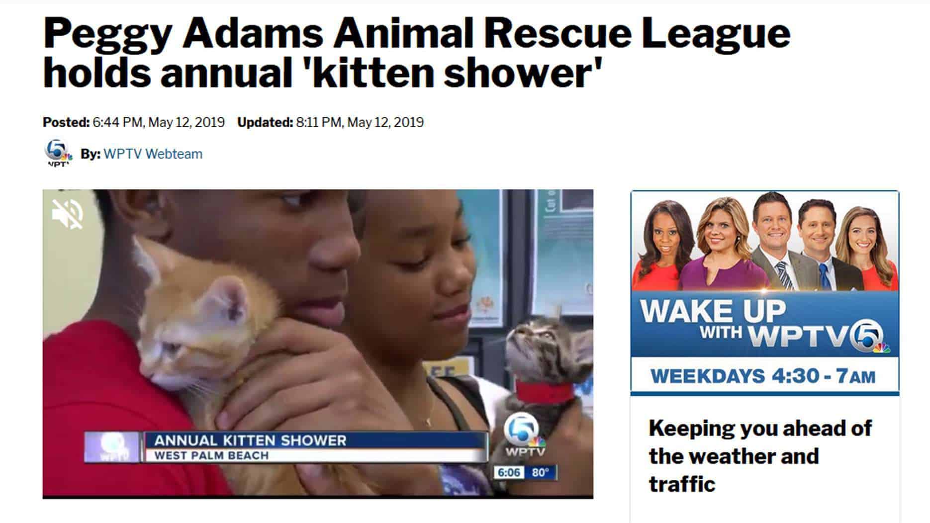 KittenShower WPTV