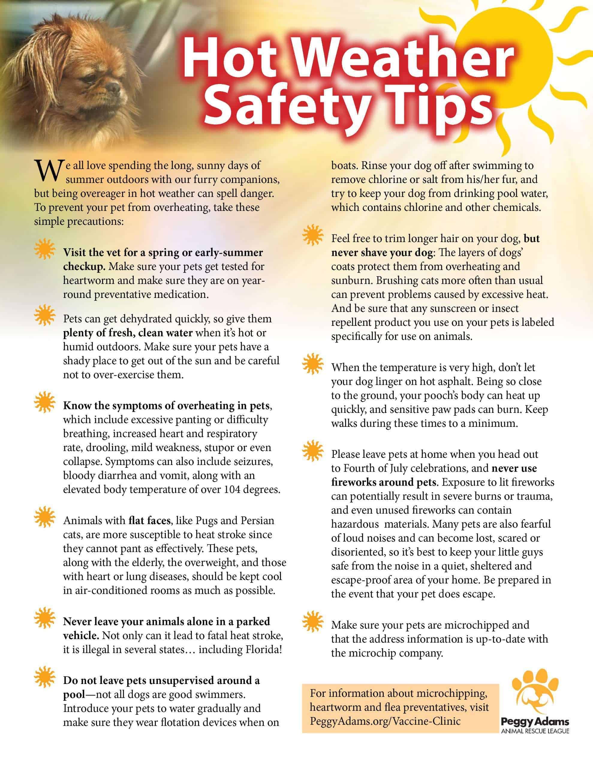 Hot Weather Safety