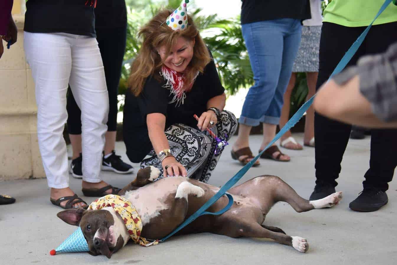 Dogust1st
