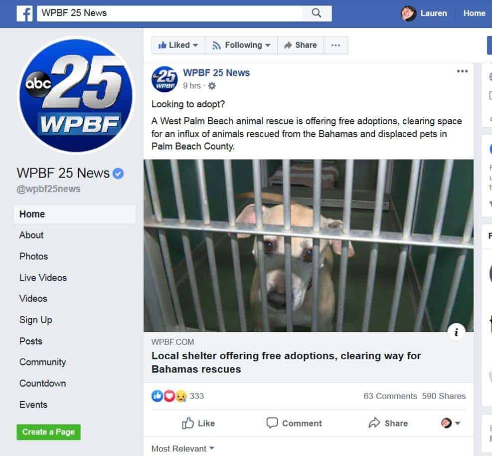WPBF 9-4-19