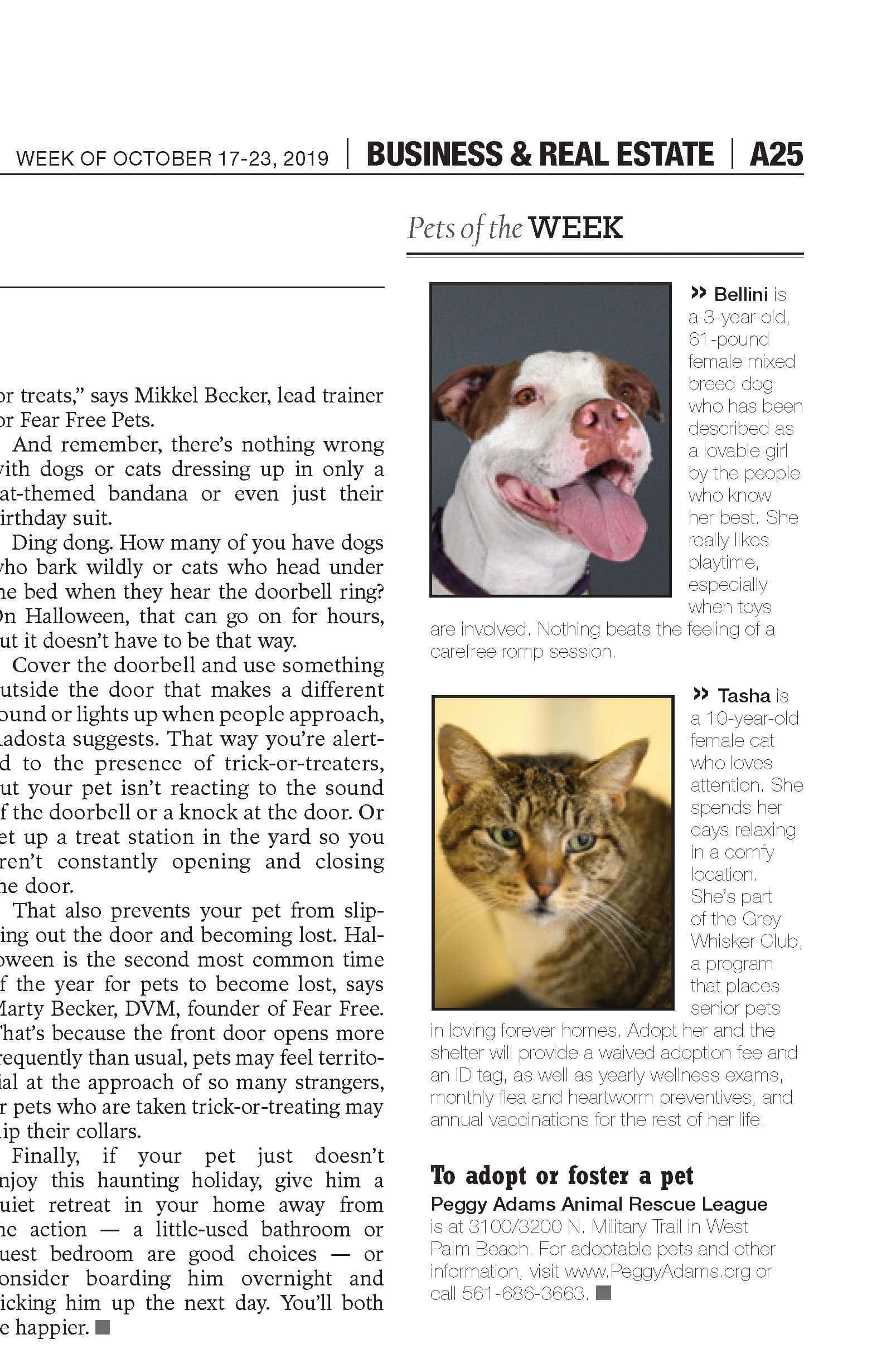 10-18-19 Fl Weekly Pets of the week