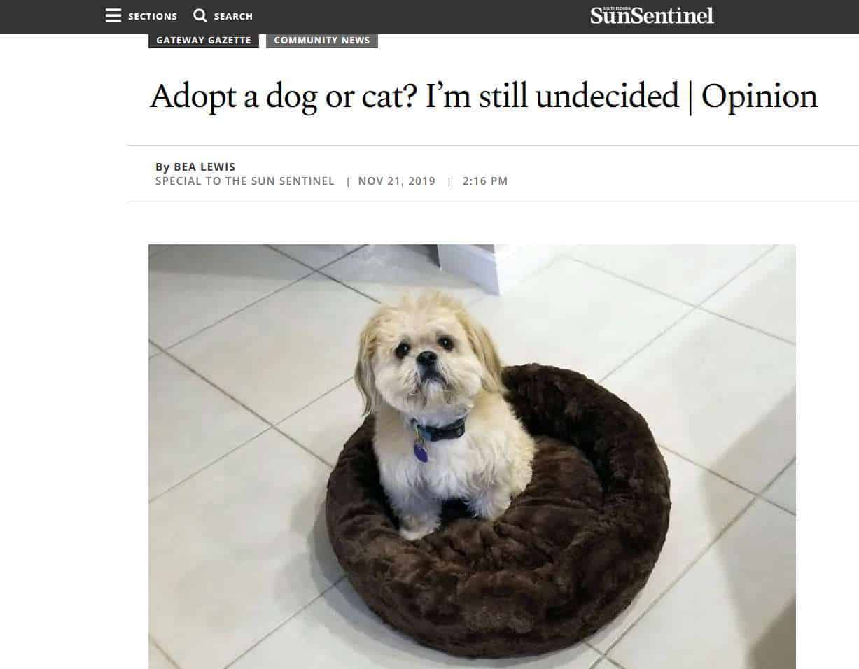 11-21-19SunSentinel