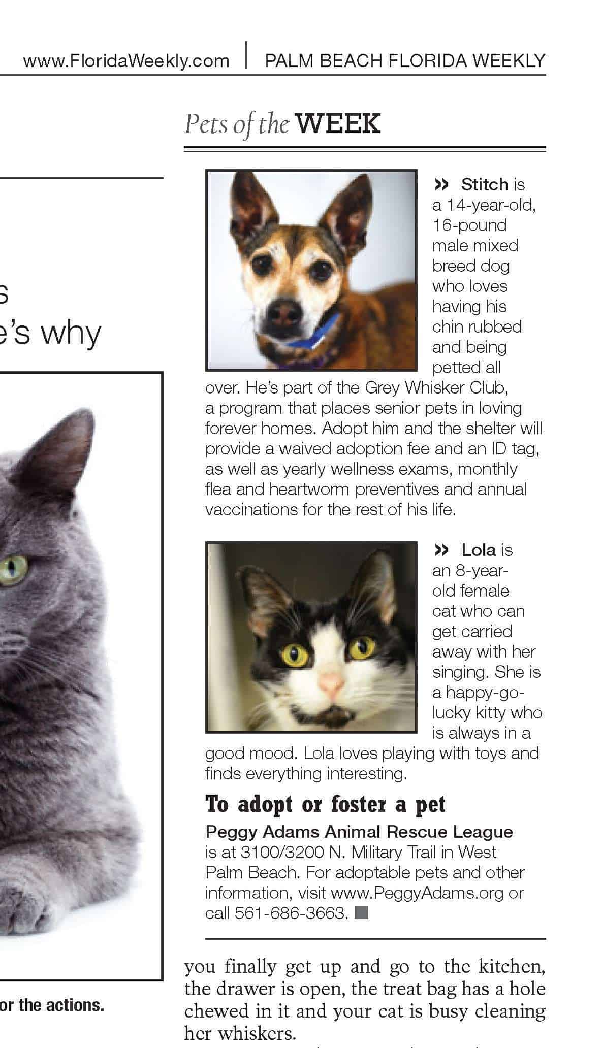 12-26-19 Pets of the Week