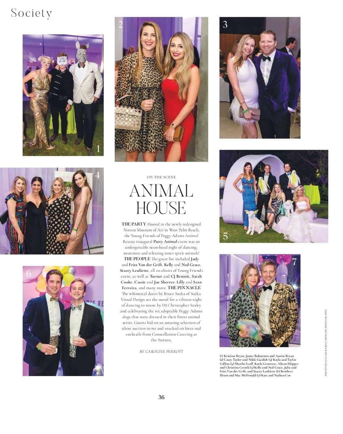 2-4-20%20Modern%20Luxury%20PB%20-%20Party%20Animal.jpg