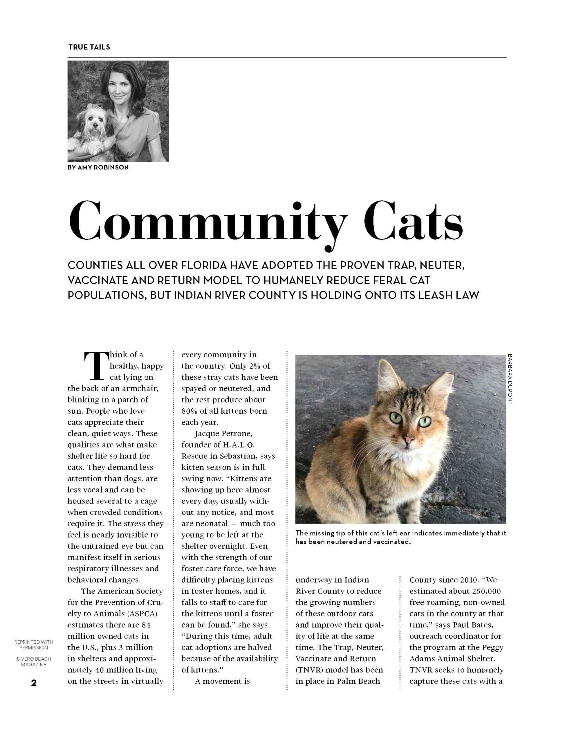 5-6-20%20True%20Tails%20MAY20%20Community%20Cats_Page_2.jpg