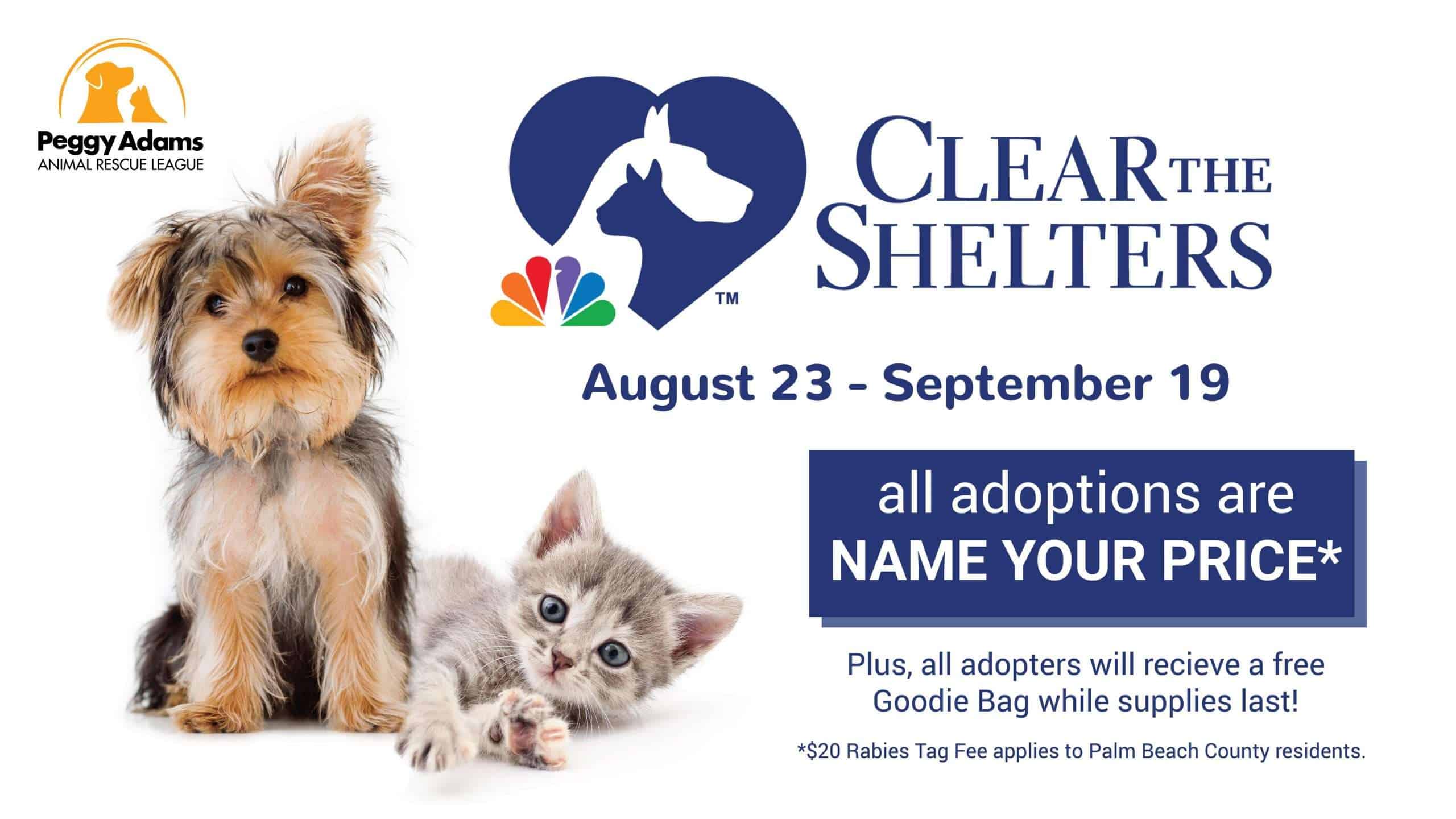 Clear%20the%20Shelter%20PR.jpg