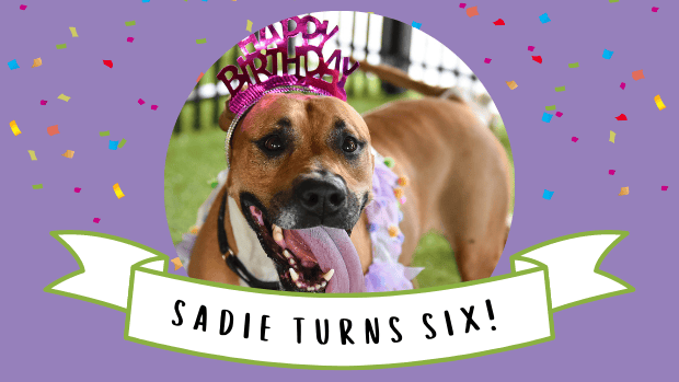 sadie's birthday
