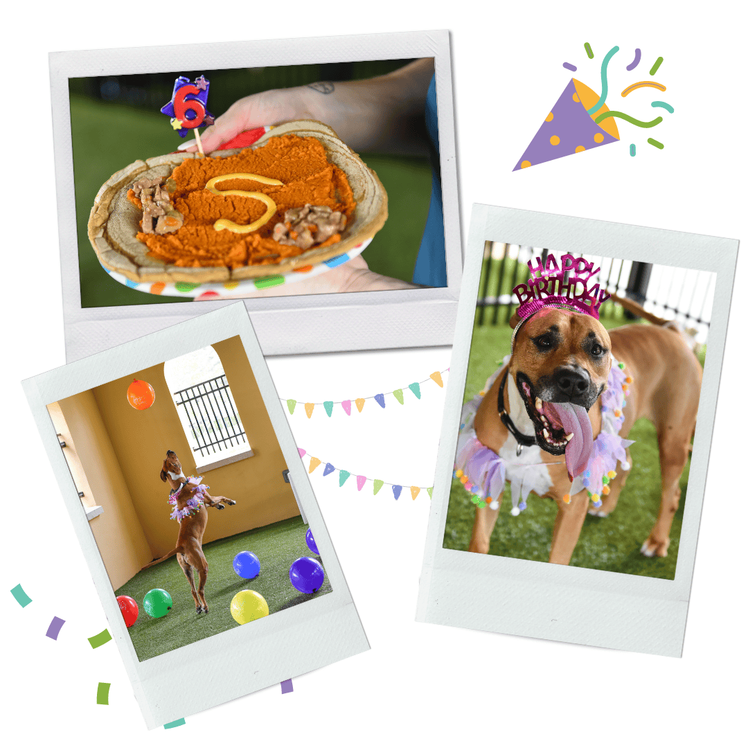 sadie's birthday