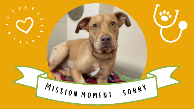 Sonny