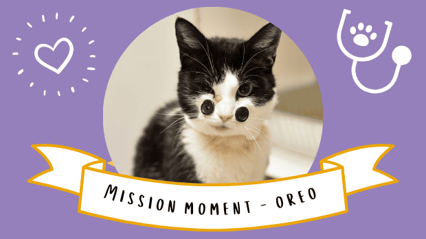 oreo