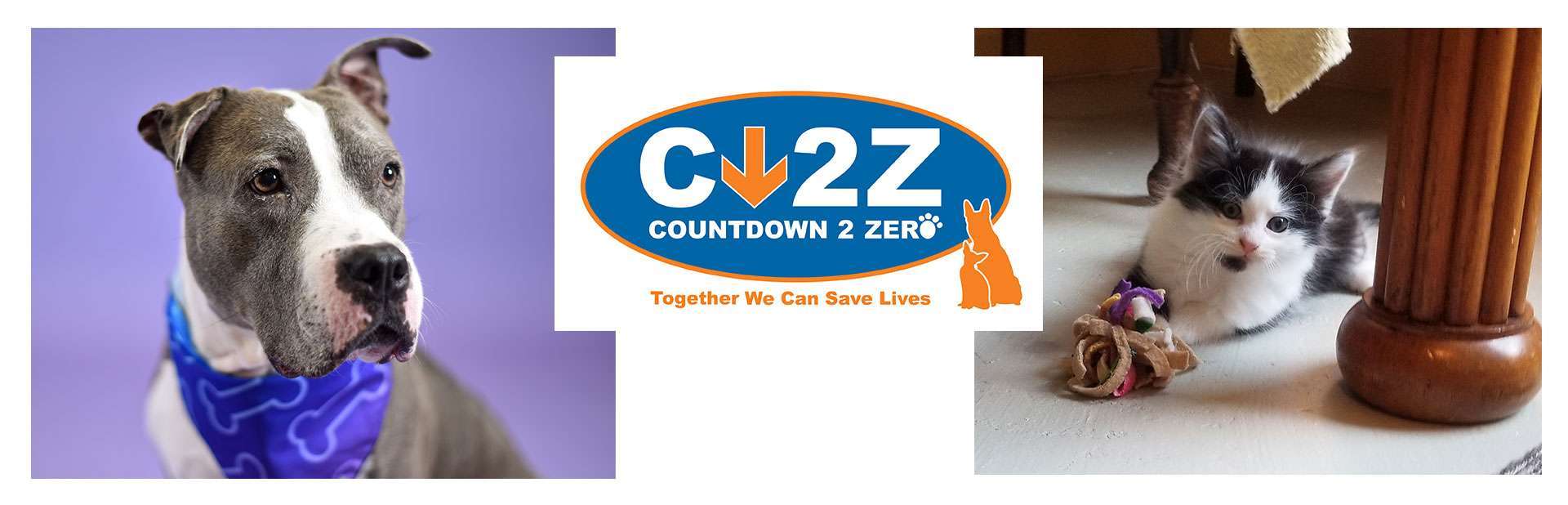 c2zAnimals.jpg