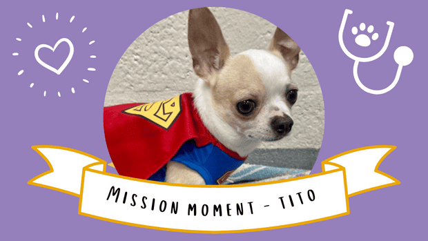 tito mission moment