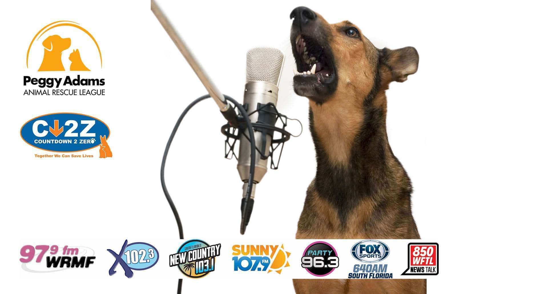 RadioDog
