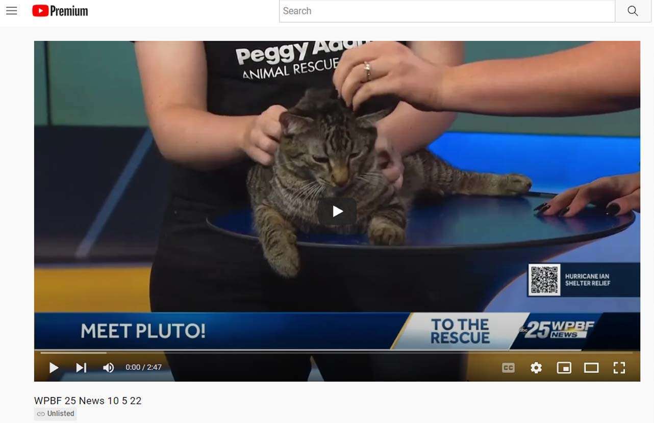 10-5-22 WPBF