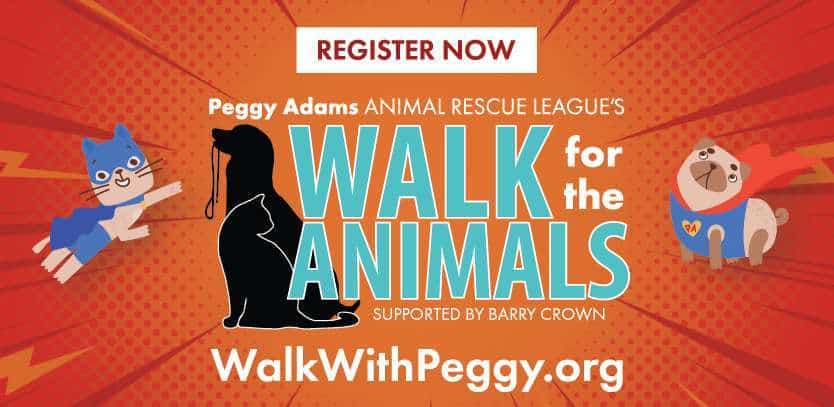 Walk%202023%20Email%20Signature.jpg