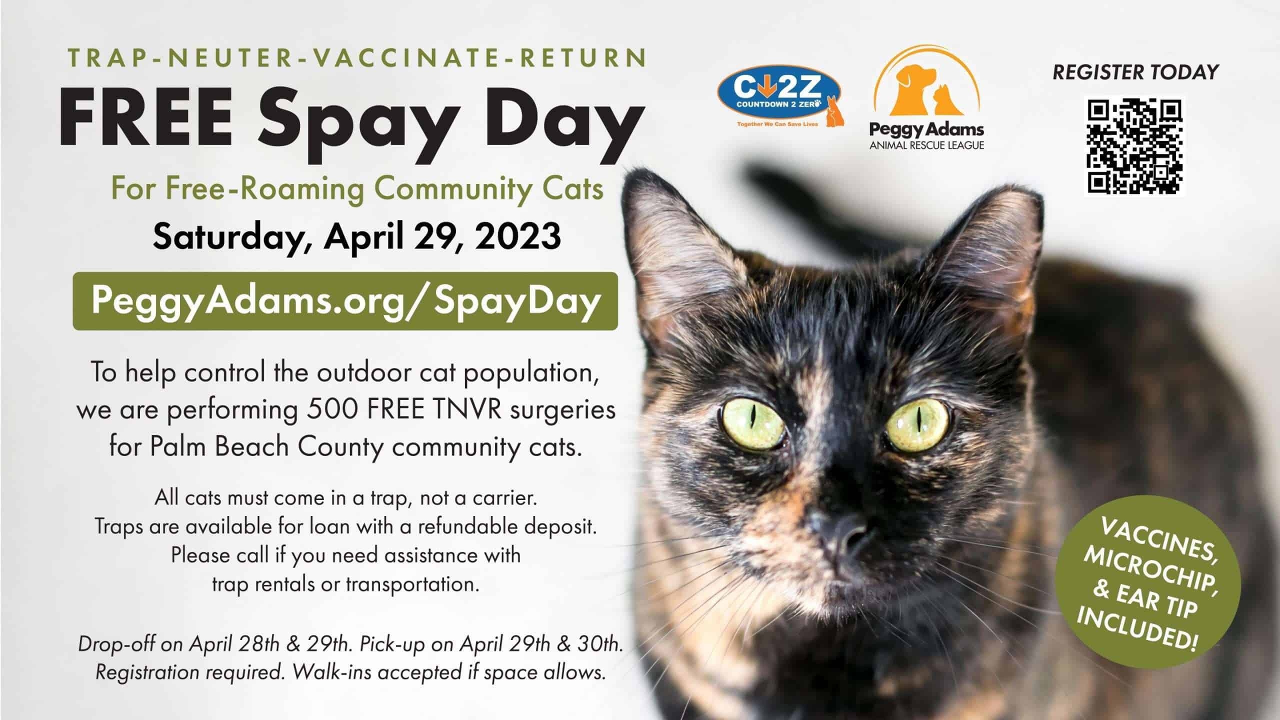 Spay%20Day%20Peggy%20TV-01.jpg