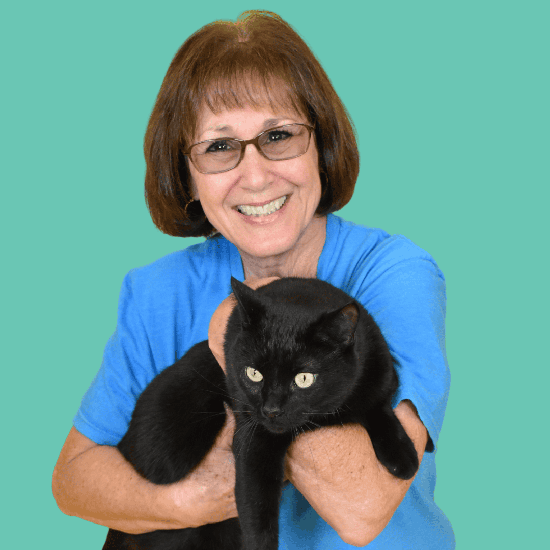 Woman holding black cat at Peggy Adams animal shelter.