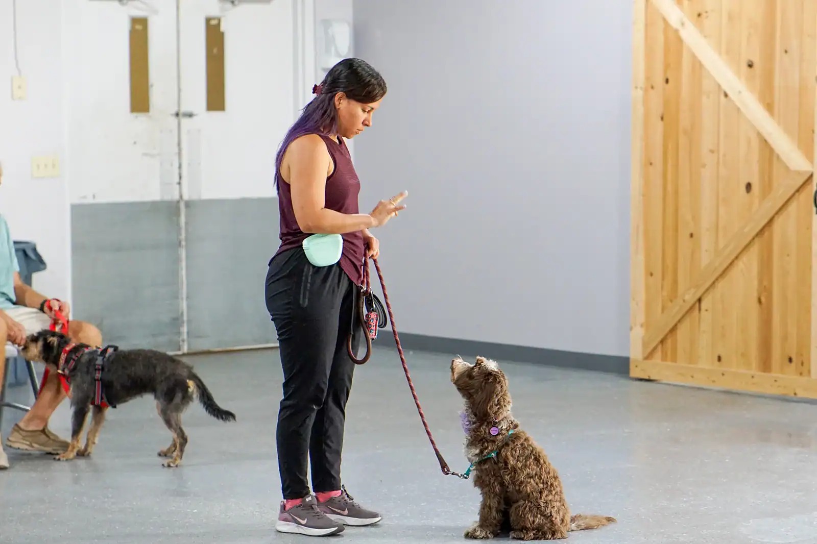Dog training session with a woman and a brown poodle in an indoor facility.