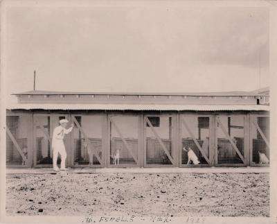 Los comienzos de Peggy Adams Animal Rescue (1924)