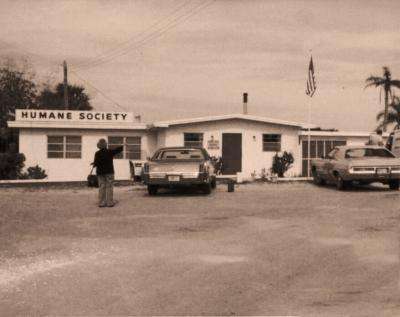 Clínica de esterilización y castración en 1973 en Peggy Adams Animal Rescue
