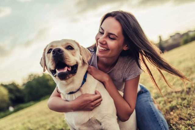 Attractive young woman with labrador outdoors. Woman on a green grass with dog labrador retriever