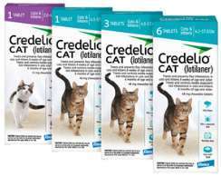 Preventatives - Credelio for Cats