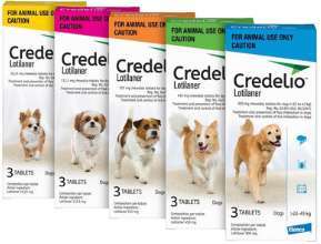 Preventatives - Credelio for Dogs