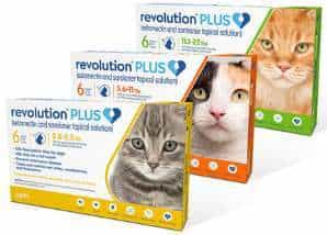 Preventatives - Revolution Plus