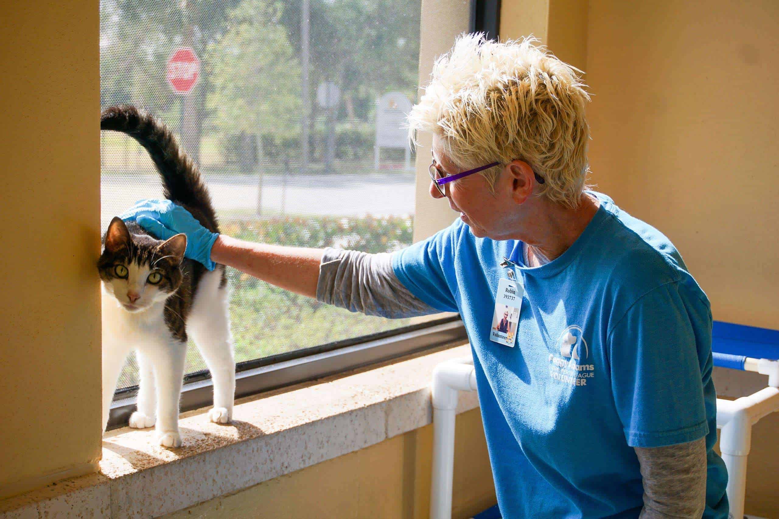 Voluntario con gato junto a una ventana