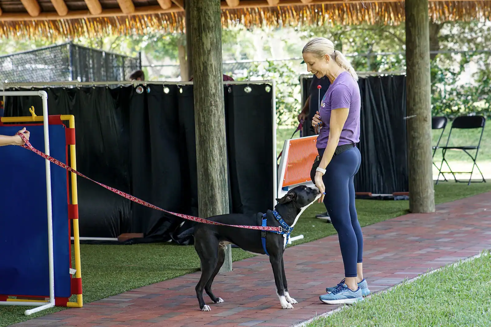 Service dog training session at Peggy Adams Animal Rescue Foundation with a handler and a black Labr.