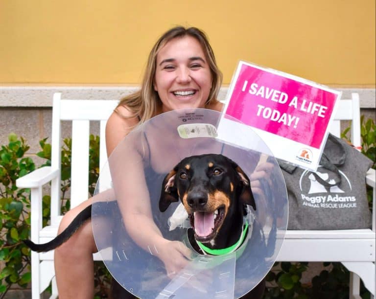 Mujer con perro usando cono, sosteniendo un cartel que dice "Hoy salvé una vida".