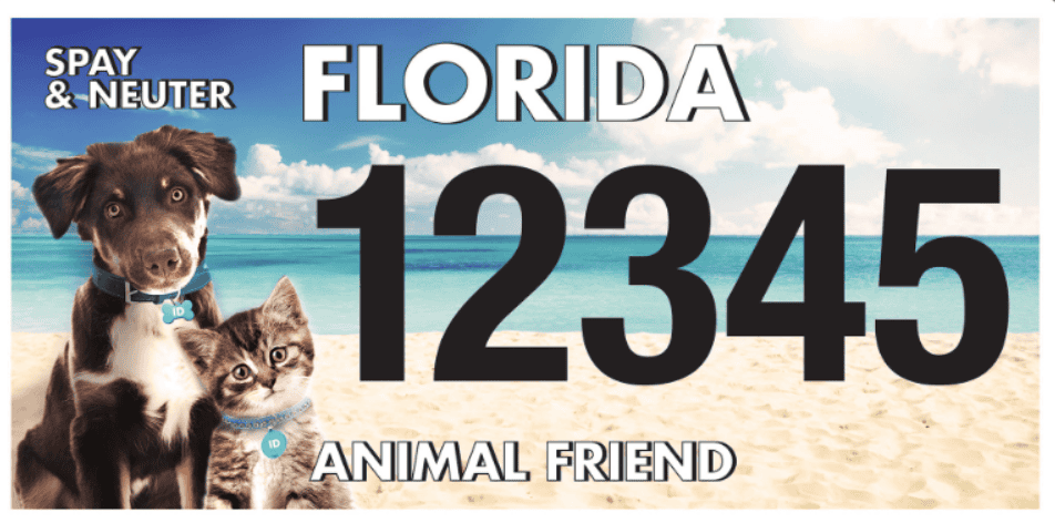Placa de licencia para mascotas Florida Animal Friend con imágenes de perro y gato en la playa.