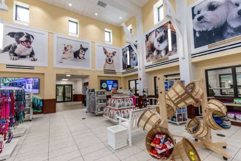 Centro de adopción de mascotas luminoso con retratos de perros y suministros para mascotas en exhibición.
